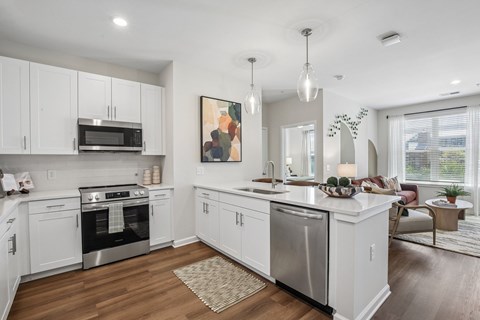 6565 Nexus Blvd Gallatin 1-2 Beds Apartment for Rent
