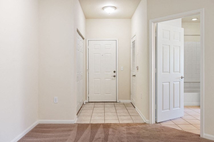 A hallway with a brown rug and white doors.