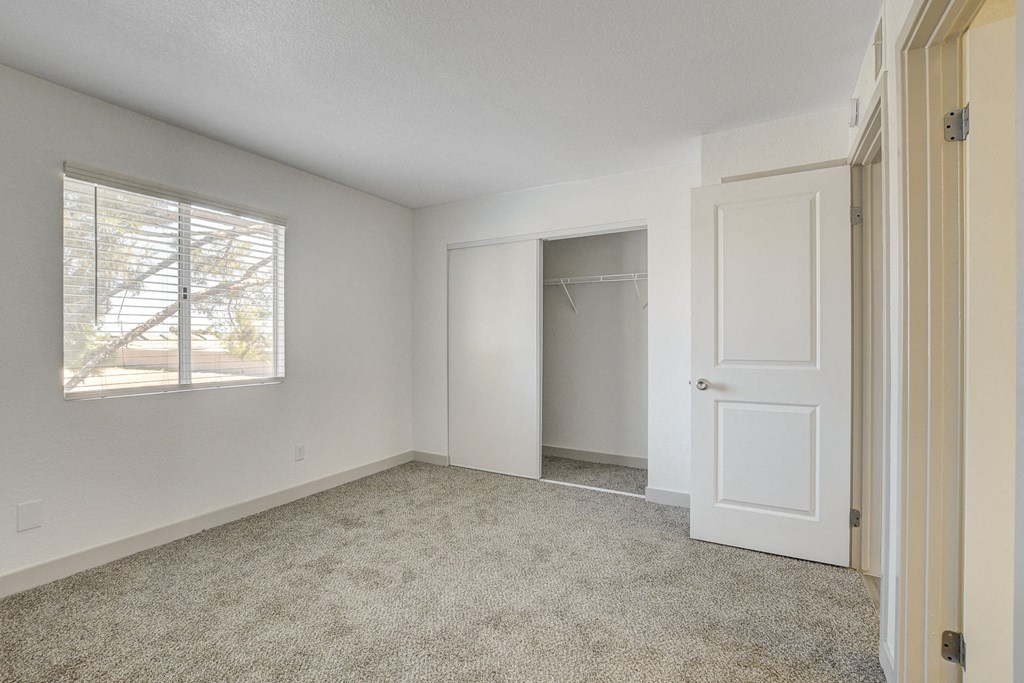 a bedroom with a closet and a window