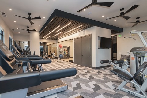 a gym with weights and a tv on the wall