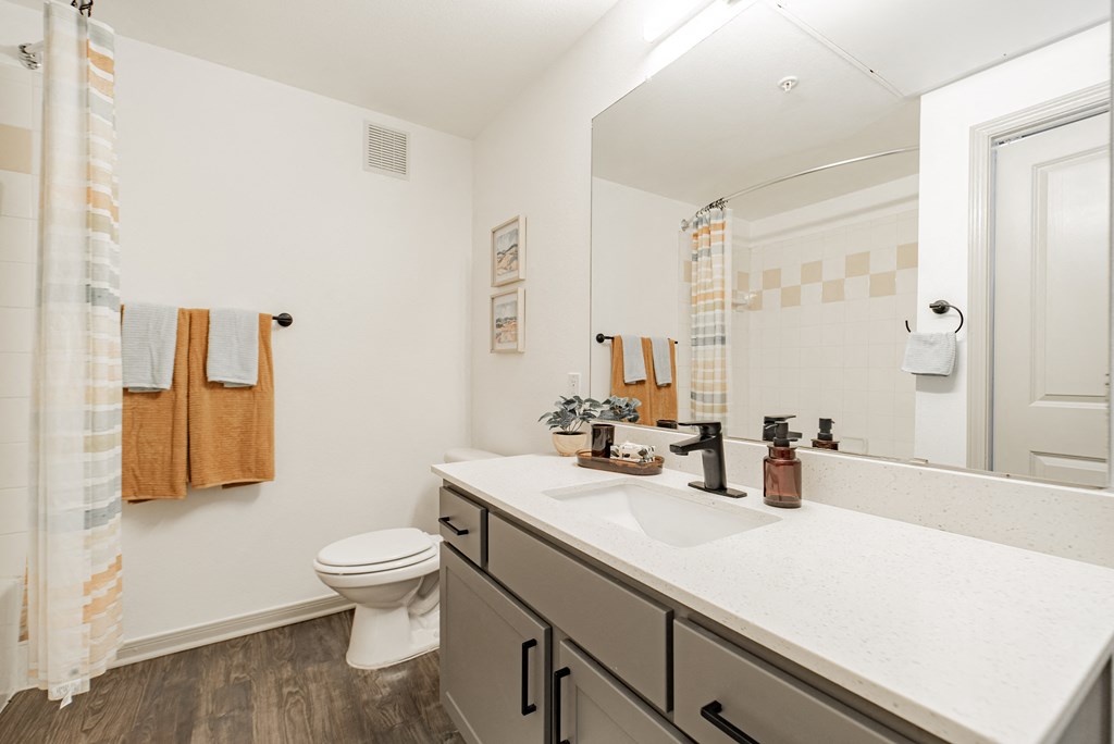 a bathroom with a large mirror and a sink and a toilet