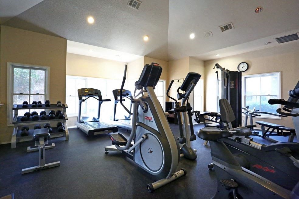 the gym has plenty of equipment for everyone to use