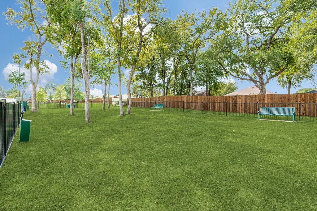 A green lawn with trees and a bench.