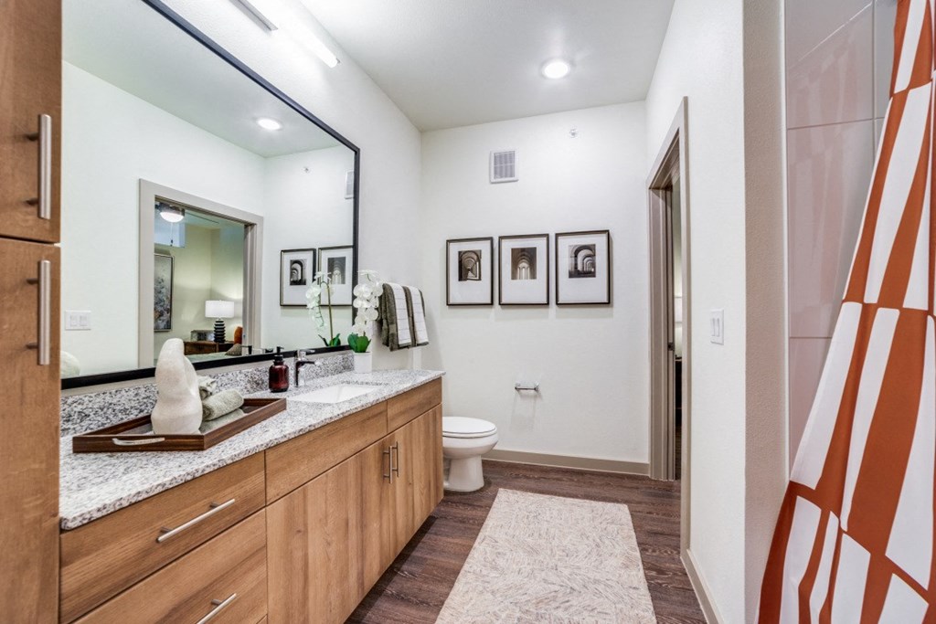 a bathroom with a large mirror and a toilet