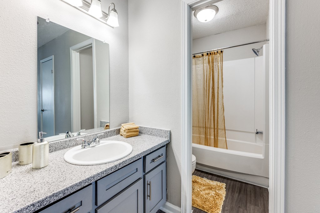 a bathroom with a sink and a mirror and a shower