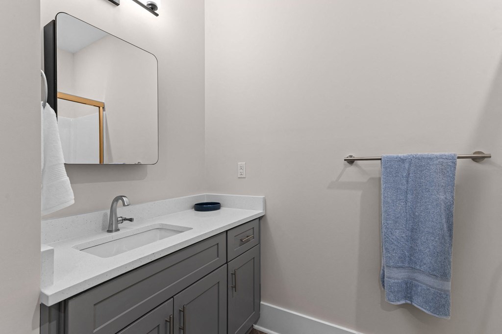 a bathroom with a sink and a mirror and a towel rack