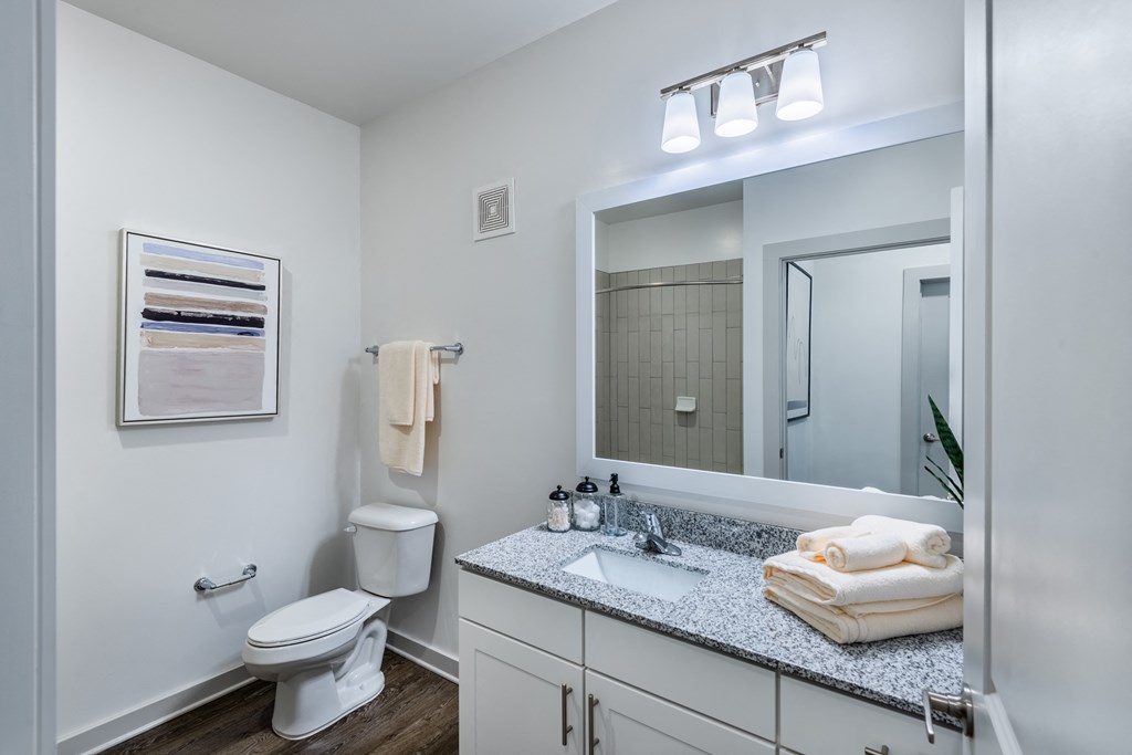a bathroom with a large mirror and a toilet and a sink