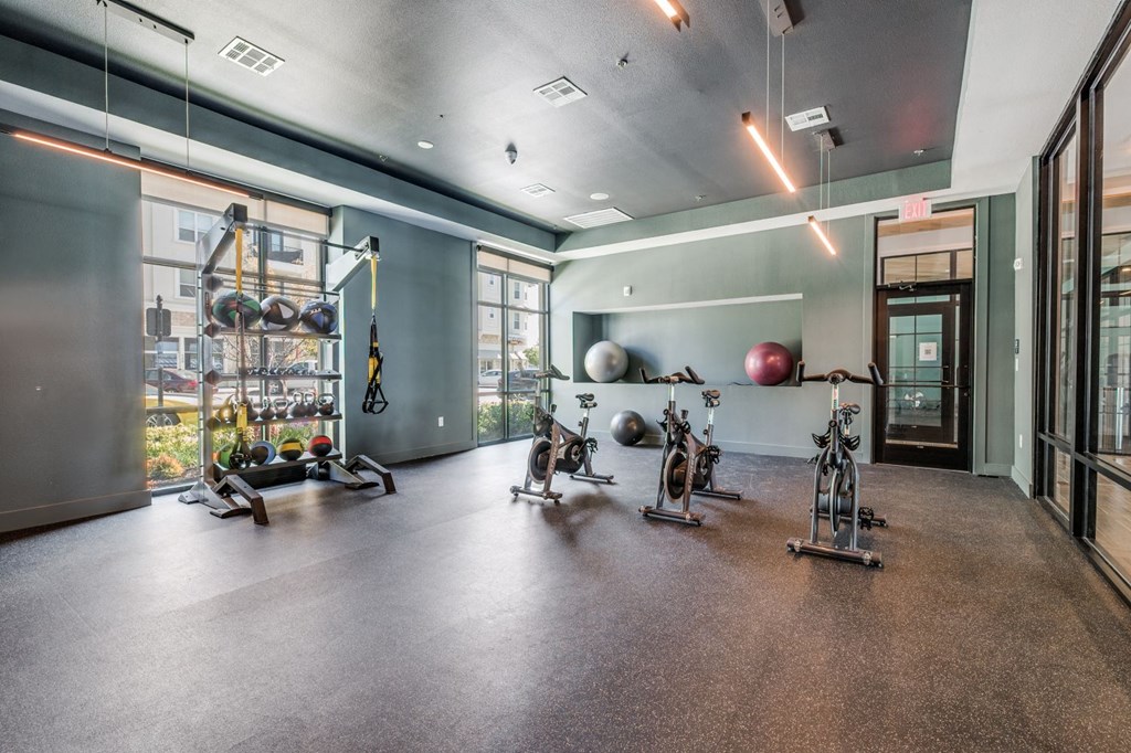 the gym at the benjamin pa