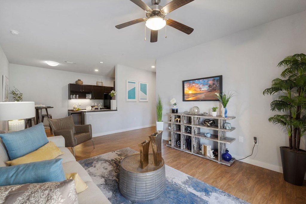 A living room with a grey rug and a grey and blue rug on the floor.