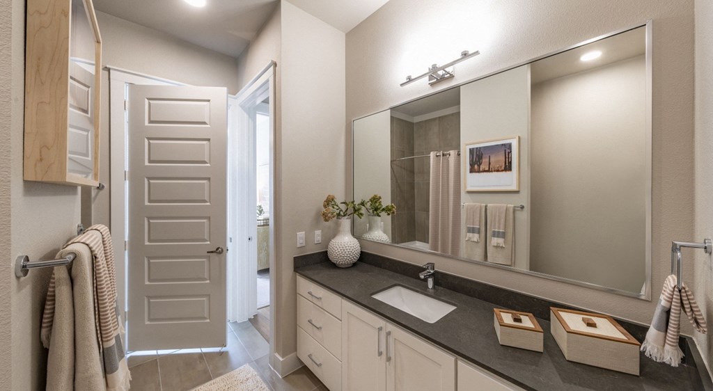a bathroom with a large mirror and a sink
