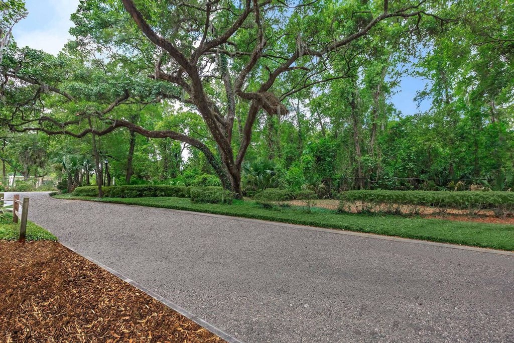 a paved path in a park with trees and grass