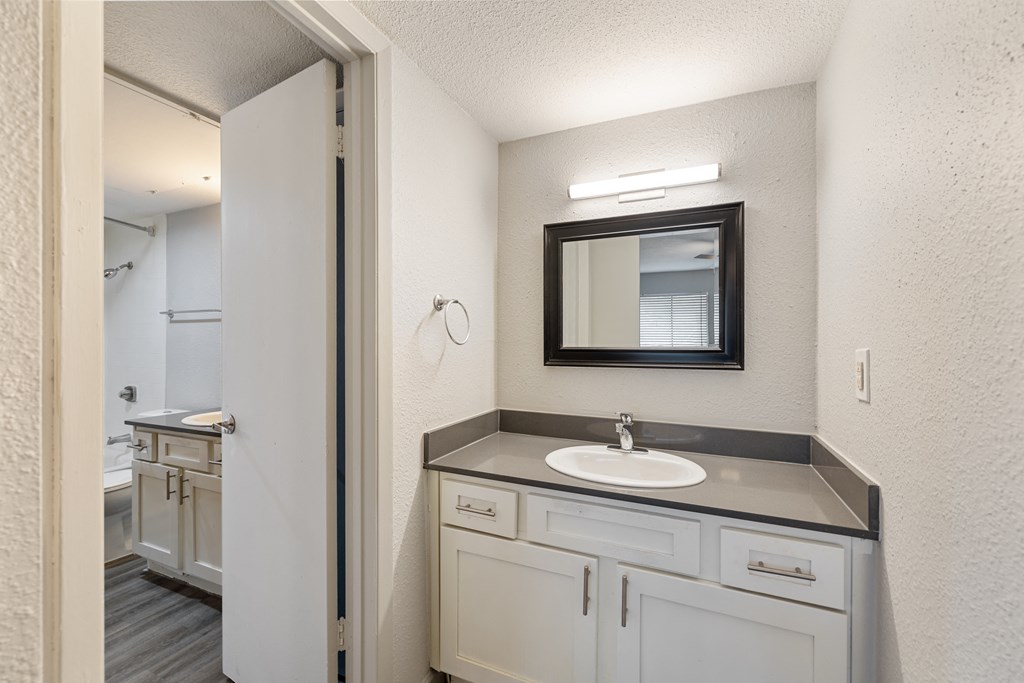 a bathroom with a sink and a mirror and a shower