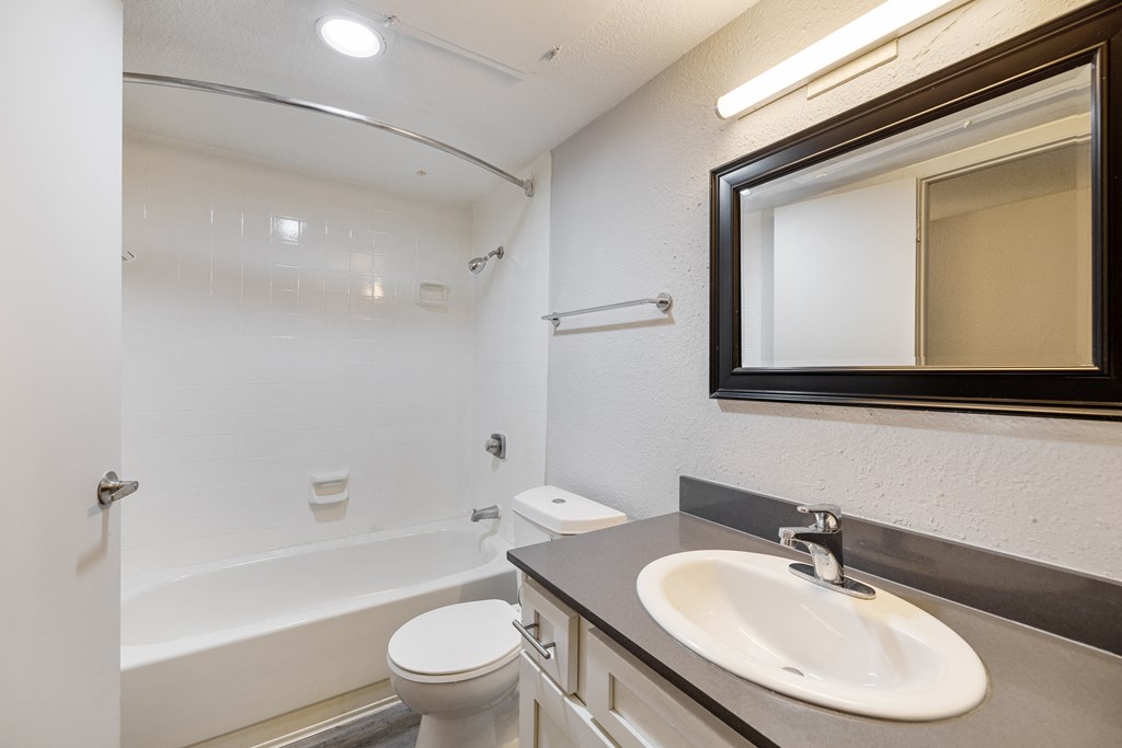 a bathroom with a sink and a toilet and a bath tub