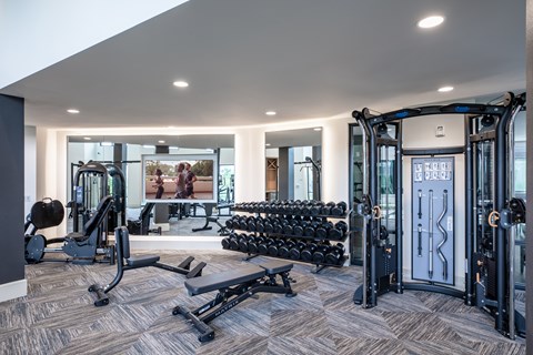 A gym with a variety of equipment including weights and cardio machines.