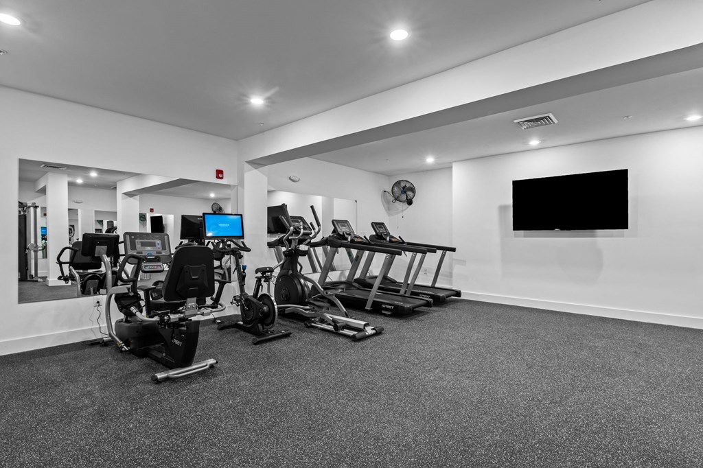 the gym has plenty of cardio equipment and a flat screen tv