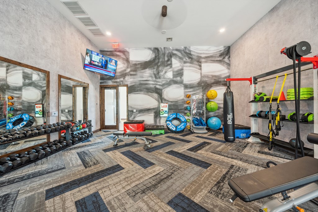 a home gym with weights and dumbbells and a tv