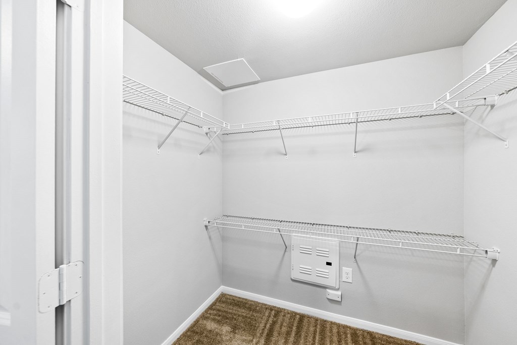 A white closet with a shelf and a rug on the floor.