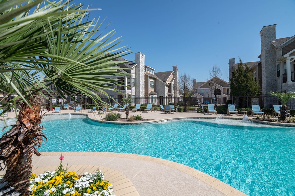 swimming pool with palm trees