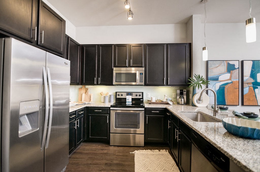 stainless steel appliances in houston texas apartments