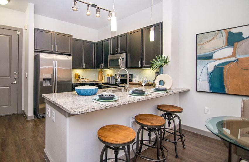 gourmet kitchen in houston texas apartments - Photo Gallery 1