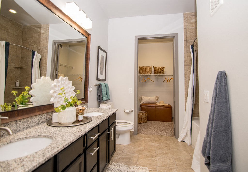 luxury bathroom in houston texas apartments