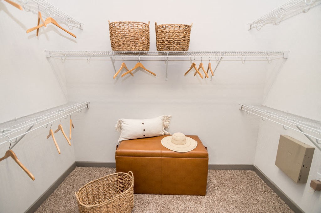 walk-in closet in houston texas apartments