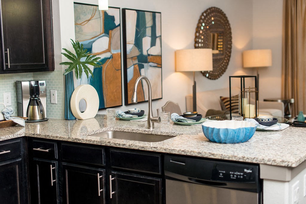 luxury kitchen in houston texas apartments