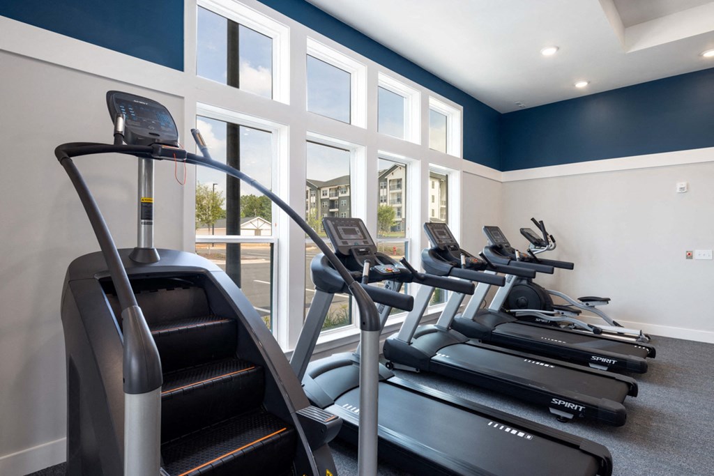 a gym with rows of cardio equipment and windows