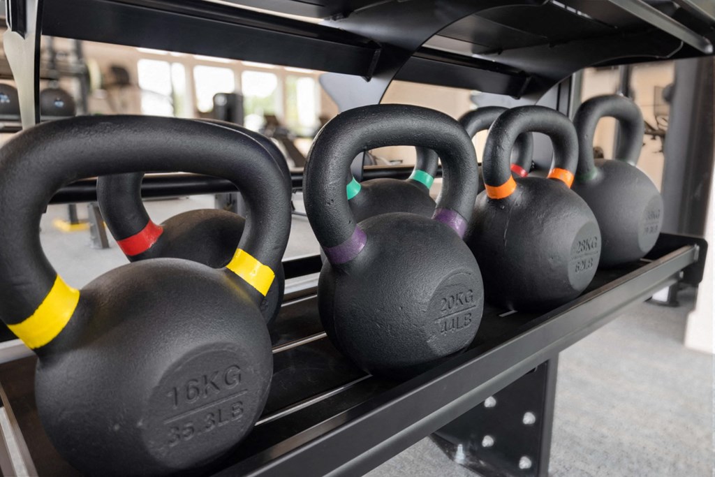 a row of dumbbells on a rack in a gym