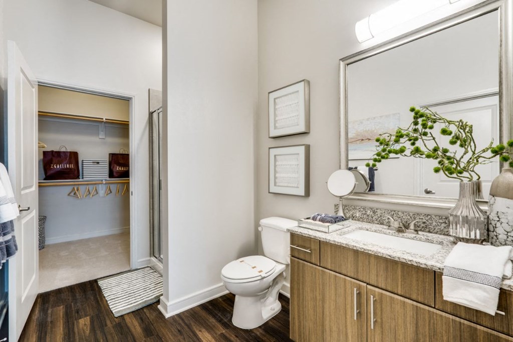 bathroom space in our luxury las colinas apartments