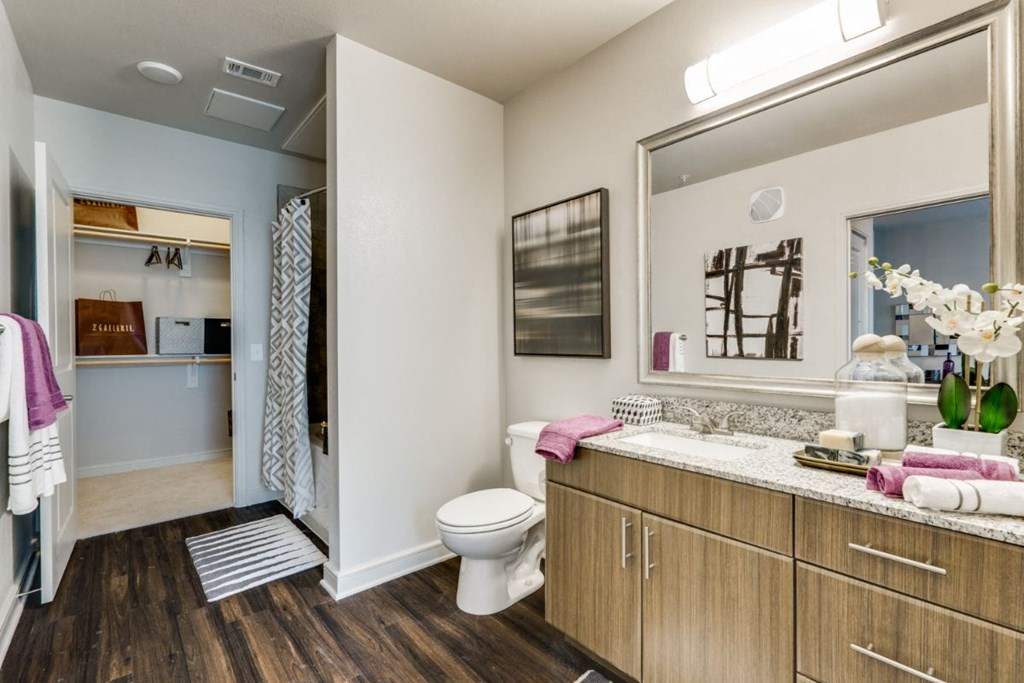 bathroom space in our luxury las colinas apartments