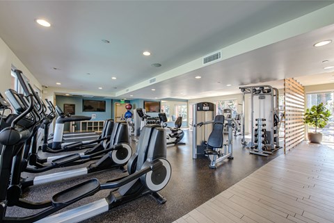 A gym with treadmills, elliptical machines, and other exercise equipment.