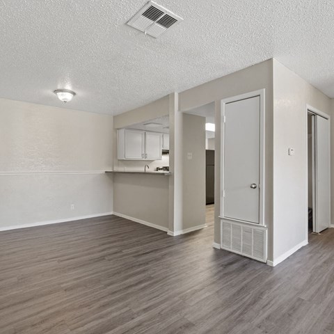 an empty living room and kitchen with a mirrored door