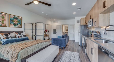 A bedroom with a bed, a couch, and a kitchen area.