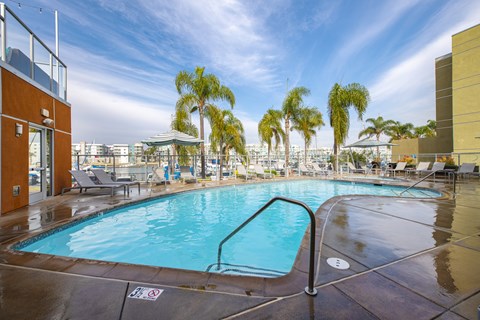 A pool surrounded by palm trees and lounge chairs.