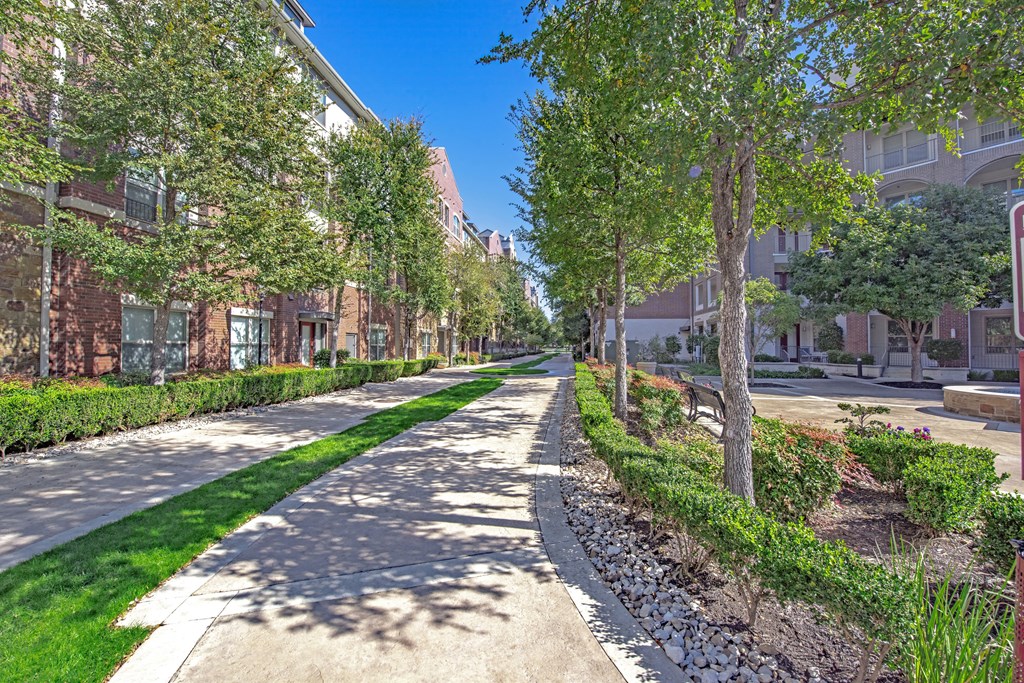 a tree lined sidewalk in front of some apartments