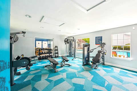 A gym with a blue carpet and white walls.