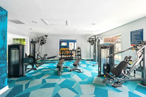 A gym with a variety of equipment including treadmills, weights, and exercise machines.