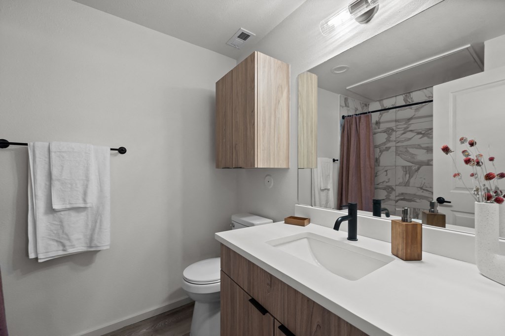 a bathroom with a sink and a toilet and a mirror