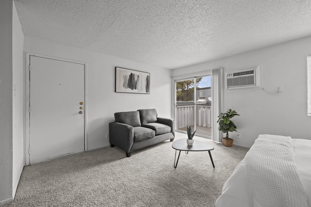A living room with a grey couch, a white bed, and a small table with a plant on it.