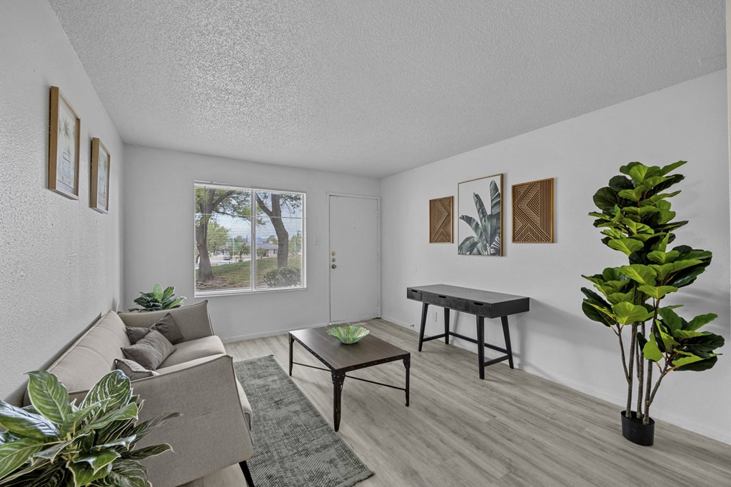A living room with a grey couch, a coffee table, and a potted plant.