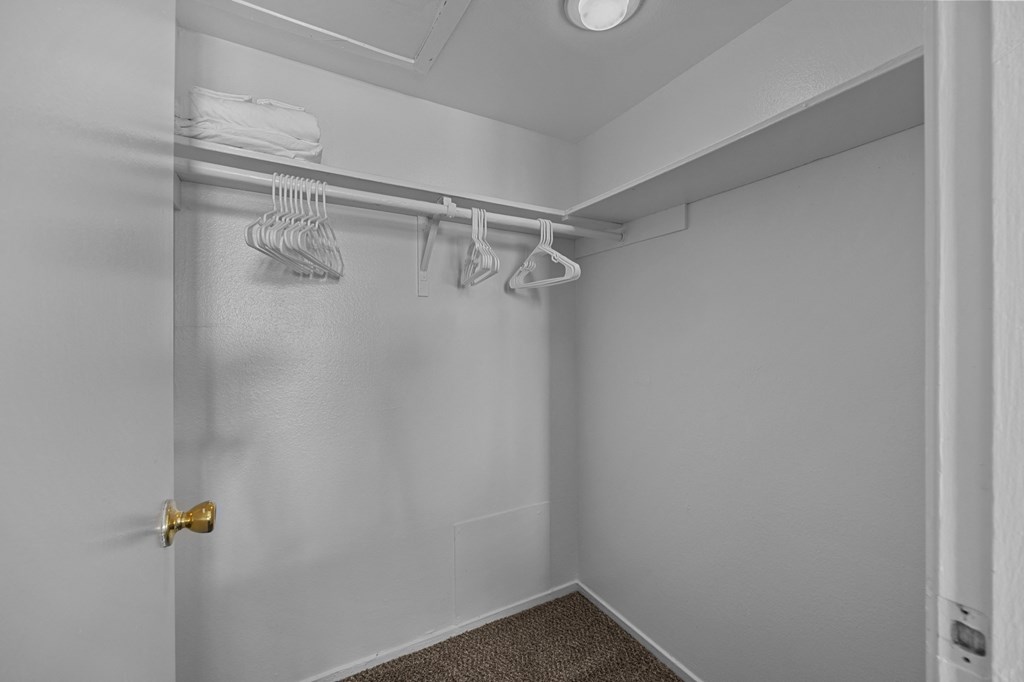 A white closet with a carpeted floor and a white door.