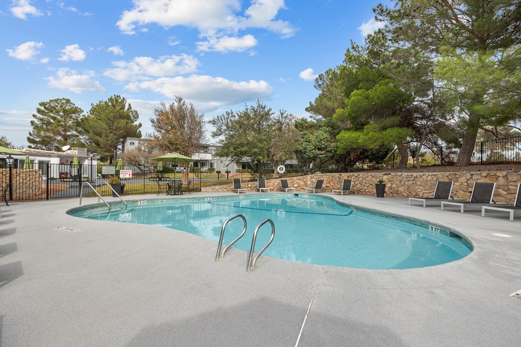 A swimming pool surrounded by trees and a stone wall.