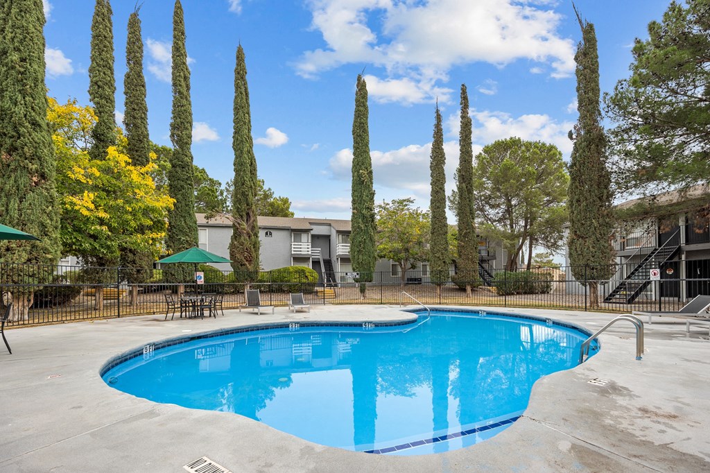 A swimming pool surrounded by tall trees and a fence.