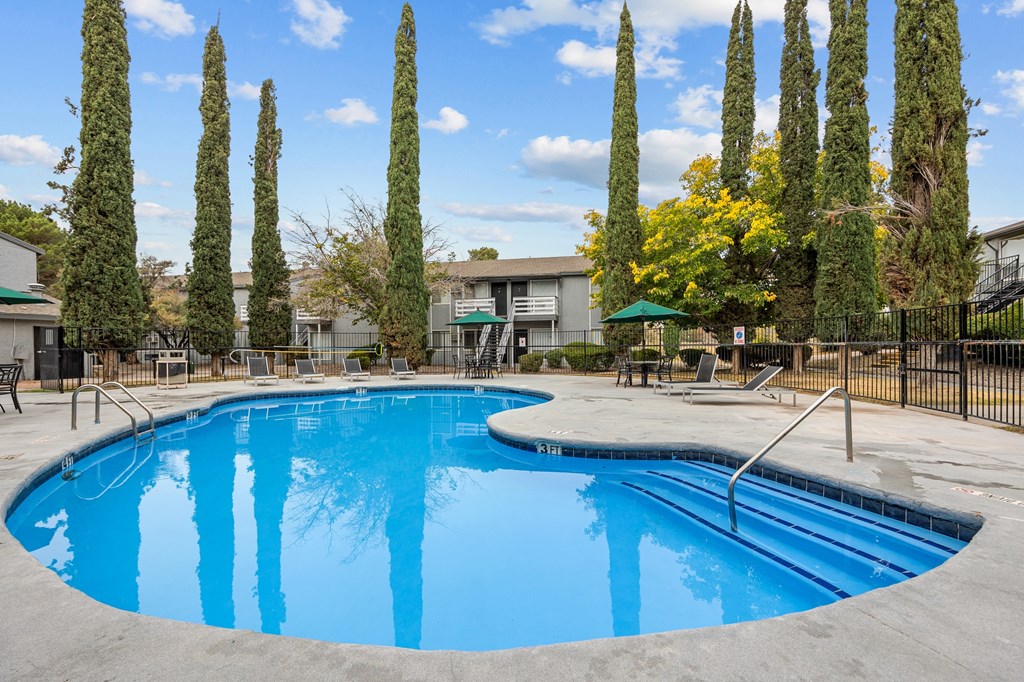 A swimming pool surrounded by tall trees and a fence.