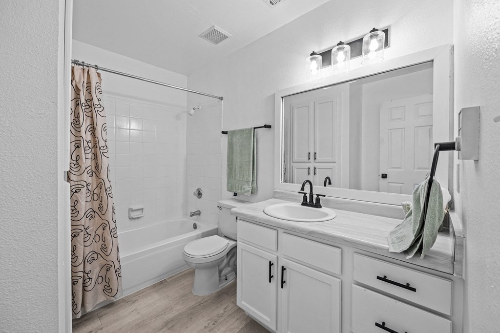 a bathroom with a sink and a shower and a toilet