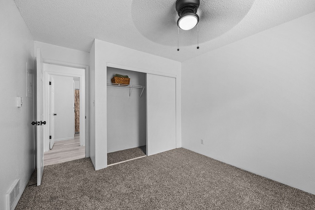 the living room of an apartment with a carpeted floor and a closet