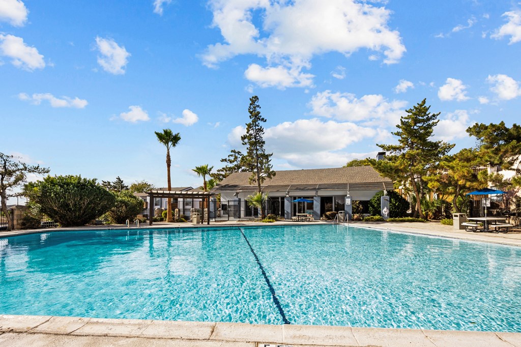the swimming pool at the resort at longboat key club