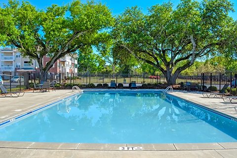 A swimming pool surrounded by trees and a fence.