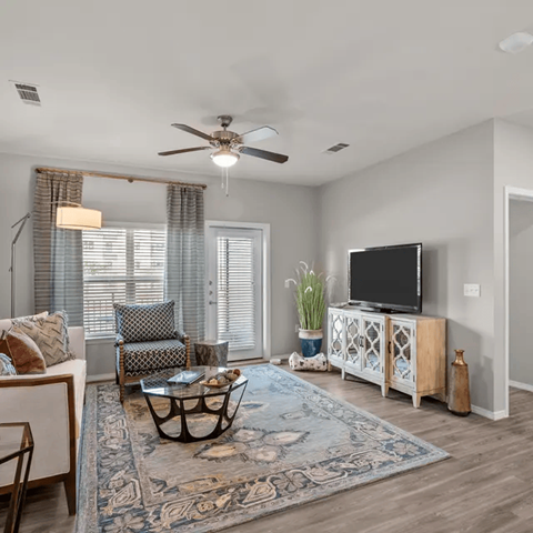 A living room with a ceiling fan, a sofa, a chair, a coffee table, a television, and a rug.